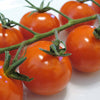 100 Red SWEETIE CHERRY TOMATO Super Sweet 1" Lycopersicon Fruit Vegetable Seeds