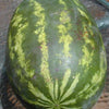 20 CAL SWEET Supreme WATERMELON Red Citrullus Lanatus 30 lb Melon Fruit Seeds