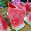 50 DIXIE QUEEN WATERMELON White & Red Citrullus Lanatus Melon Fruit Vine Seeds