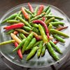 25 Organic KOREAN Dark GREEN PEPPER Lady Han Hot Chili Long Red Capsicum Annuum Seeds