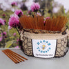 5 Pack CLOVER Blossom HONEY TEASERS Natural Honey Snack Sticks Honeystix Straws