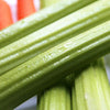 1000 TENDERCRISP CELERY Stalks & Leaves Apium Graveolens Vegetable Seeds