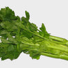 1000 TENDERCRISP CELERY Stalks & Leaves Apium Graveolens Vegetable Seeds