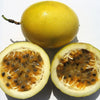 10 YELLOW PASSION FRUIT Vine Passiflora Edulis Flavicarpa Golden Passionfruit Purple & White Flower Seeds