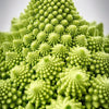 500 ROMANESCO BROCCOLI Broccoflower Roman Cauliflower Pyramid Broccolo Brassica Oleracea Vegetable Seeds