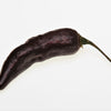 20 ROYAL BLACK PEPPER Capsicum Annuum Very Hot Chilli Vegetable Seeds