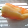 25 Organic GIANT SZEGEDI PEPPER Capsicum Annuum Hungarian Sweet Paprika / Tapered Bell White Yellow Orange Red Seeds