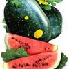 Heirloom Organic Moon and Stars Watermelon Seeds (Sun, Moon and stars Watermelon) Seeds