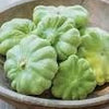 Heirloom Organic Peter Pan Summer Squash Seeds Award winning Squash!