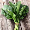 Heirloom Organic Giant Noble Spinach Seeds