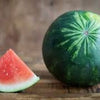 Heirloom Organic Sugar Baby Watermelon Seeds