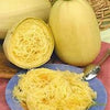 Organic Heirloom Spaghetti Squash Seeds