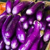 Heirloom Organic Early Long Purple Eggplant Seeds
