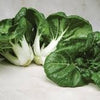 Heirloom Organic Pak Choy Toy Choy (Bok Choi/Pak Choi) Seeds