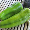 Organic Heirloom Cubanelle/ Sweet Fryer Pepper Seeds