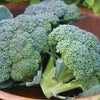 Heirloom Organic Broccoli De Cicco Seeds