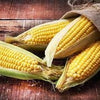 Organic Early Sunglow Sweet Corn Seeds