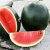 Heirloom Organic Black Diamond Watermelon Seeds (aka Cannonball Watermelon, Florida Giant Watermelon)