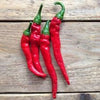 Heirloom Organic Cayenne Hot Pepper Seeds
