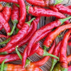 Heirloom Organic Cayenne Hot Pepper Seeds