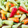 Heirloom Organic Santa Fe Hot Pepper Seeds (A.K.A. Guero Pepper, Yellow Guero Chili Pepper, Yellow Hot Chili Pepper)
