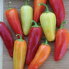 Heirloom Organic Santa Fe Hot Pepper Seeds (A.K.A. Guero Pepper, Yellow Guero Chili Pepper, Yellow Hot Chili Pepper)