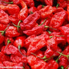 GHOST PEPPER Pepper Seeds (Aka Naga Viper Chili, Snake Pepper, Bhut Jolokia Hot Pepper)