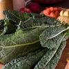Heirloom Organic Dinosaur Kale Seeds (AKA Toscano Kale / Tuscan Kale / Italian Kale / Dinosaur Kale / Cavolo Nero / Black Leaf )