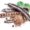 Rare Organic Carob Tree Seeds (Locust Bean Tree/ St. John's Bread Tree)