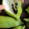Rare Organic Heirloom Caigua Seeds (Aka Slipper Gourd, Achocha,  Cyclanthera pedata, stuffing cucumber)