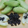 Rare Organic Heirloom Caigua Seeds (Aka Slipper Gourd, Achocha,  Cyclanthera pedata, stuffing cucumber)