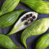 Rare Organic Heirloom Caigua Seeds (Aka Slipper Gourd, Achocha,  Cyclanthera pedata, stuffing cucumber)