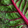Organic Heirloom Ruby Red Swiss Chard Seeds