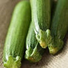 Organic Heirloom Fordhook Zucchini Seeds