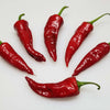 Organic Pueblo Hot Pepper Seeds – photo 2
