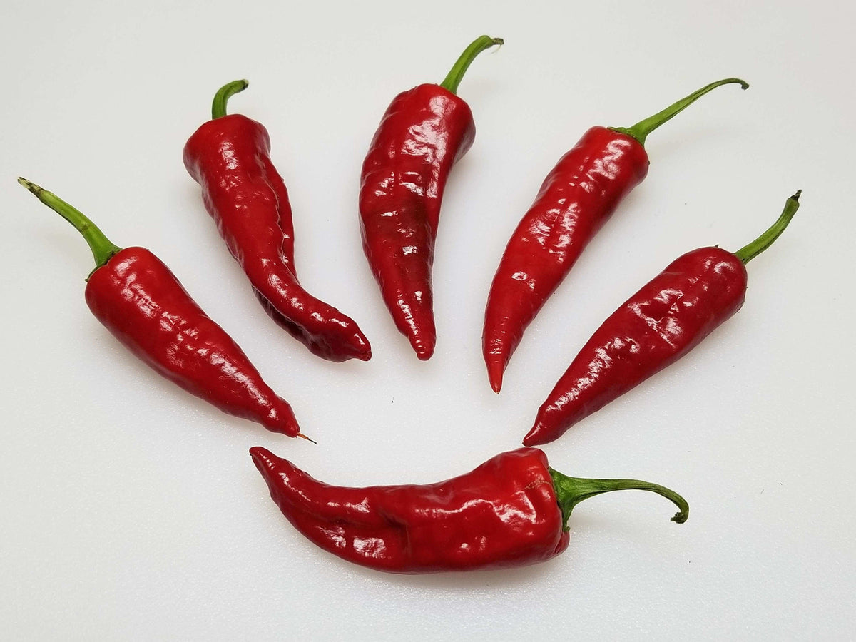 Organic Pueblo Hot Pepper Seeds – photo 2