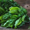 Organic Heirloom Palco Spinach Seeds