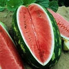 Heirloom Organic Congo Watermelon Seeds