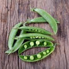 Organic Heirloom Sugar Snap Pea seeds
