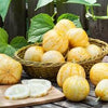 Rare Heirloom Organic Lemon Cucumber Seeds