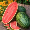 Heirloom Organic Georgia Rattlesnake Watermelon seeds