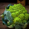 Rare Heirloom Organic Romanesco Italia Broccoli Seeds