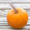 Heirloom Organic Small Sugar Pumpkin Seeds