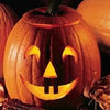 Heirloom Organic Jack O' Lantern Pumpkin Seeds