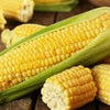 Heirloom Organic Kandy Korn Sweet Corn Seeds