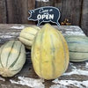RARE Heirloom Organic Bidwell Casaba Melon Seeds