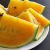 RARE Heirloom Organic YELLOW FLESH Moon and Stars Watermelon Seeds (Sun, Moon and stars Watermelon) Seeds