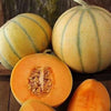 RARE HEIRLOOM Organic Charentais Melon Seeds (Aka French Cantaloupe)