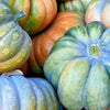 RARE Heirloom Organic Cinderella Pumpkin Seeds (Musquee De Provence Pumpkin, Fairytale pumpkin)