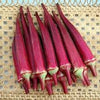 Heirloom Organic Red Burgundy Okra Seeds